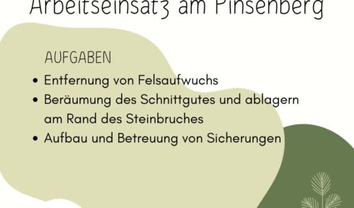 Artikelbild zu Artikel Helferaufruf: 25.10. Arbeitseinsatz am Pinsenberg